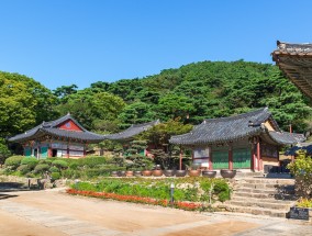 花卉宝藏，济宁花卉市场的探索之旅济宁有几个花卉市场